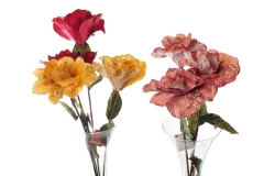 158 Novogodišnje cveće